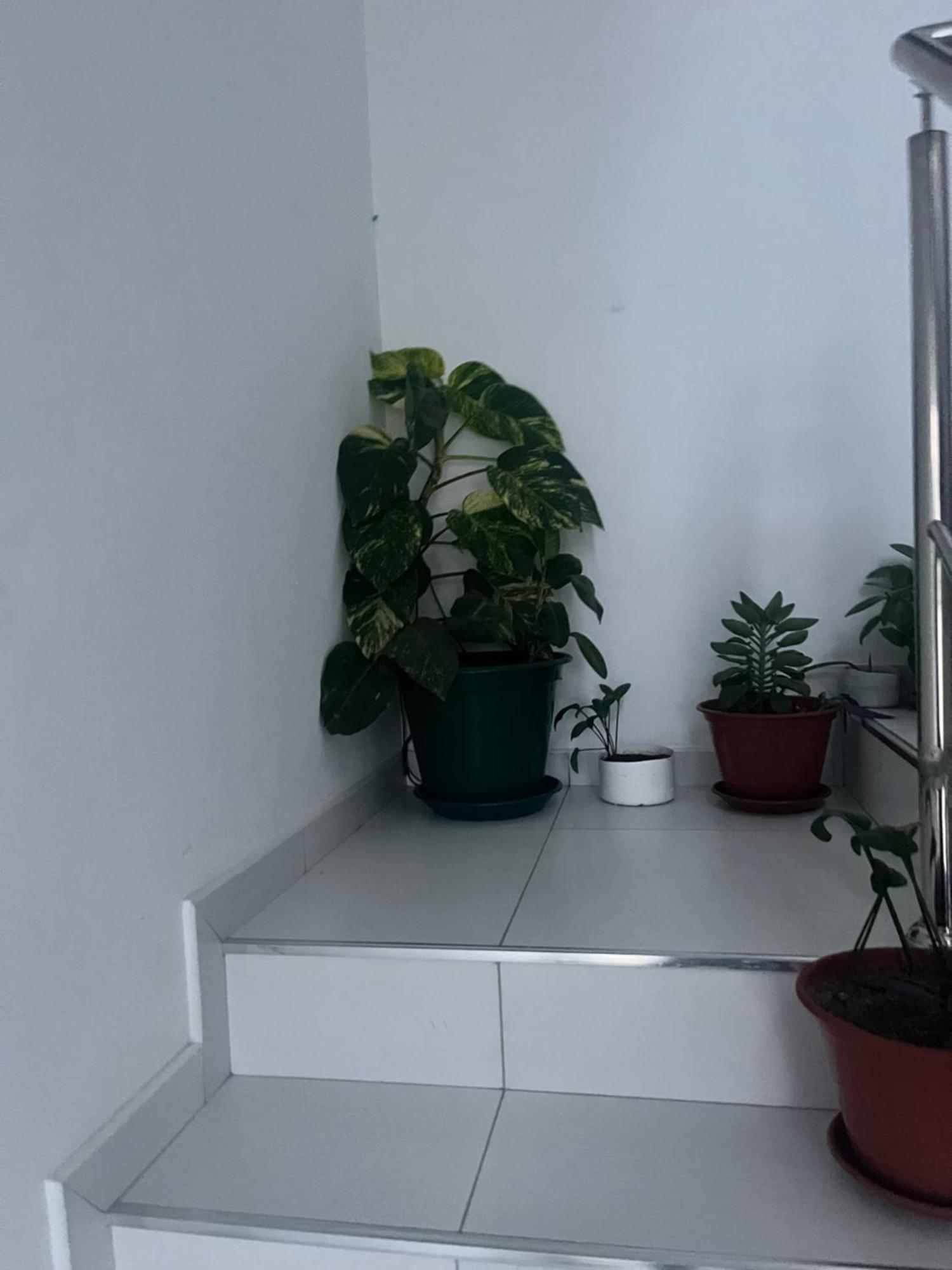 Oasis De Retour Apartment Ponta Do Sol Exterior photo